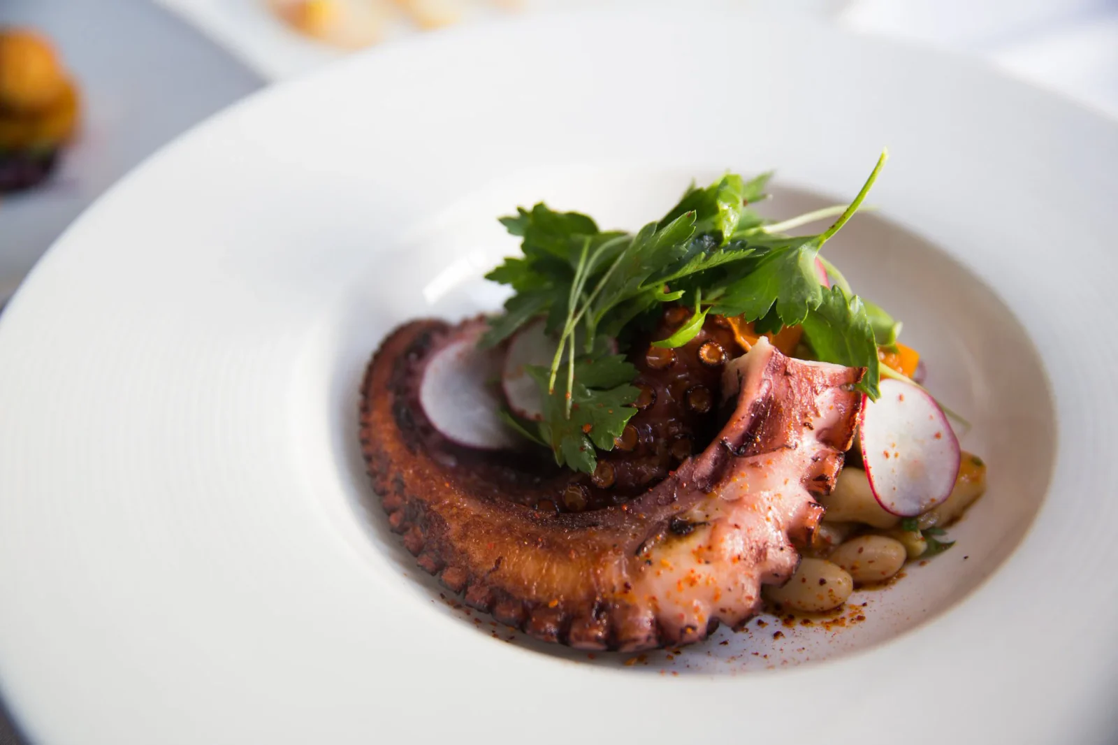 Plated octopus dish with herbs